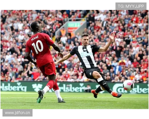 ✅体育直播🏆世界杯直播🏀NBA直播⚽- 在比利时出生的这“三小只”即将回国→- sports